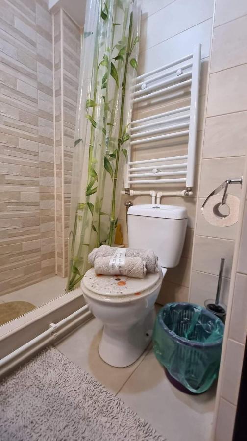 Studio Vale Appartement Hunedoara Buitenkant foto